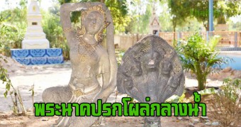 พระนาคปรกสูงเกือบเมตรโผล่กลางลำน้ำวัดกาฬสินธุ์